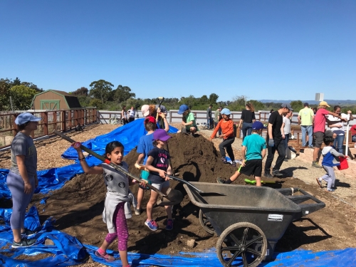 Seeding Community